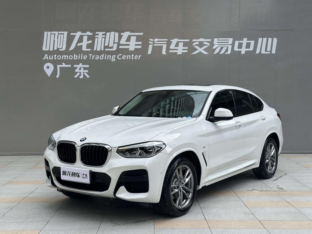 BMW X4 2021 Modified xDrive25i M Sport Package