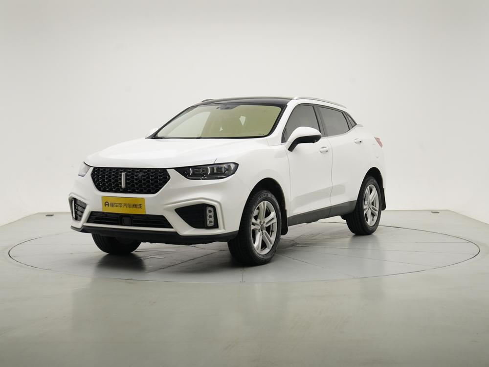 WEY VV5 2020 1.5T Trend Pioneer