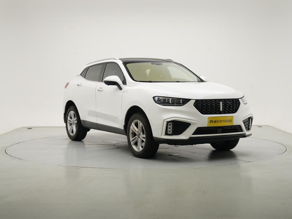 WEY VV5 2020 1.5T Trend Pioneer