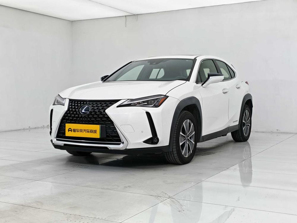 Lexus UX EV 2020 300e Pure Joy